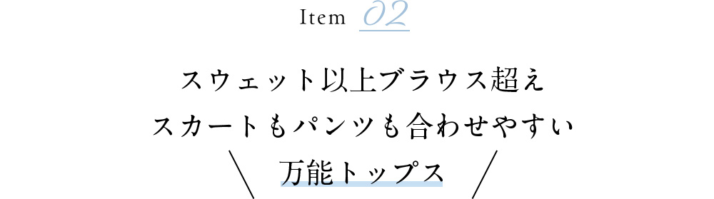 スウェット以上ブラウス超えスカートもパンツも合わせやすい万能トップス